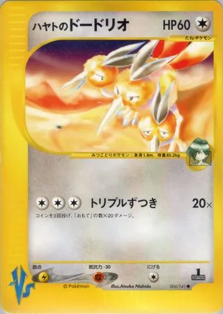 Falkner's Dodrio