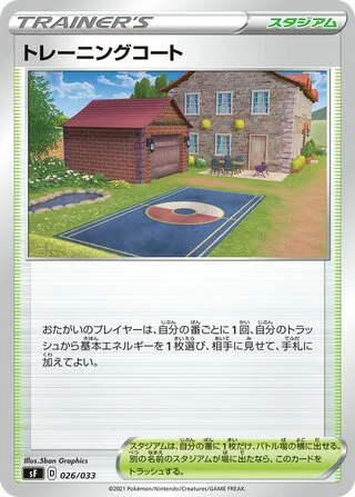 Training Court