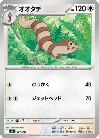 Furret