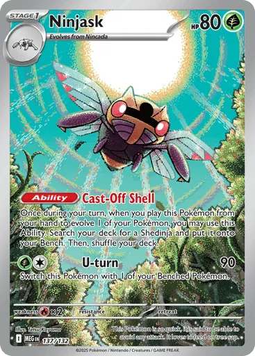 Ninjask