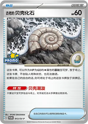 Antique Helix Fossil