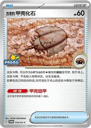 Antique Dome Fossil